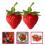 10 Unidades Artificial Imitación Decoración 9