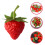 10 Unidades Artificial Imitación Decoración 10