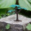 6 Miniaturas De Paisagem Com Árvore De Para De 6