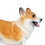 1 Simulado Welsh Corgi Brinquedo Plástico 3