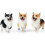 1 Simulado Welsh Corgi Brinquedo Plástico 5