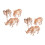 6 Unidades Kit -Cabeça Animal 3D Educativos 7