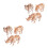 6 Unidades Kit -Cabeça Animal 3D Educativos 3