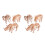 6 Unidades Kit -Cabeça Animal 3D Educativos 9