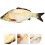 Pluszowa Fish Toy Poduszka Dla Dzieci 3