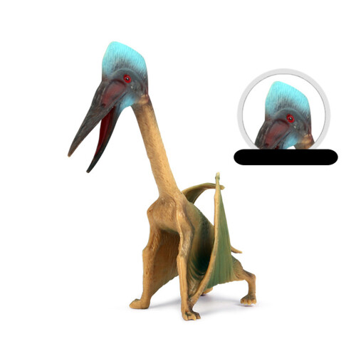 1 Decoração De Pterossauro Para