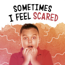 Sometimes I Feel Scared by Nicole A. Mansfield Hardcover Book