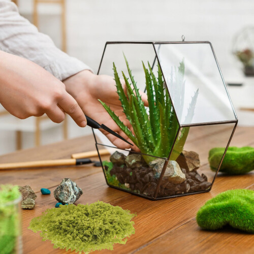 5 Sacos De Grama Artificial Paisagem Para Miniatura 2