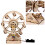 3D -Cabeça DIY Educativo Montagem Sem Bateria 2