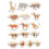 Conjunto Blocos Animais , Brinquedo Empilhar E Equilibrar 2