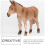 De Burro Estatueta Pé Para Escritório E Crianças 8