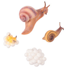 Conjunto De Animais Plástico Simulado Ciclo De