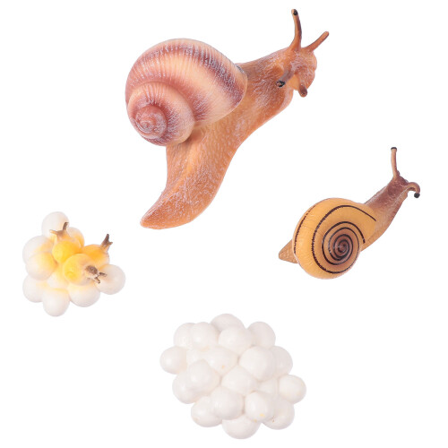 Conjunto De Animais Plástico Simulado Ciclo De
