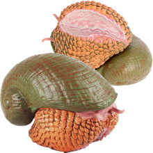 2 Pièces Escargot En Figurine Animal Réaliste Déco Éducatif