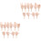 20 Pcs Mini Plastic Hand Joints For Diy Doll Parts 5