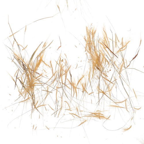 Scatola Artificiali: Grano Miniatura Per Paesaggio