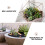 6 Pièces Décoration Mini Paysage Réaliste Artisanat 8