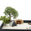 50 Per Casa Delle , Miniatura Realistici 7