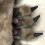 One Pair Werewolf Wolf Gloves For Halloween Costume Performance 11