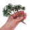 30 Pezzi Albero Cocco In Mini Palma Per Decorazione 4