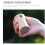 1 Pezzo Educativo In Legno 11
