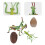 Set Statue Cavallette Per Dell'Infanzia Mantis 6