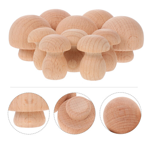 10 Pezzi Giocattoli In Legno Da Colorare A Forma 2