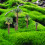 12 Pezzi Da Strada In Miniatura Per Paesaggio 8