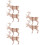 6 Cervo In Legno 3D Puzzle Da Te Educativo 9