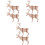 6 Cervo In Legno 3D Puzzle Da Te Educativo 5