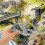 Set Assemblato Modello Ponticello 6