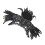 Black Cloak Cape Lace Cosplay Robe Party Performance M 2