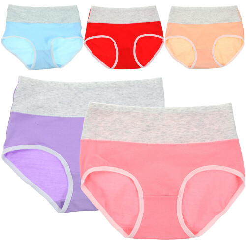 5set Leak Proof Panties For Women Assorted Elastic Cotton