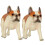 2 Unidades Mini Cachorro Pé 4