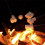 4pcs Extendable Marshmallows Roasting Stick BBQ Tools Stainless Steel Forks 5
