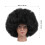 Afro Perücke Kurze Lockige Schwarze Hitzebeständig 3