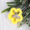 1 Set Plasticine Dierenmal Diy Speelgoed Kinderaccessoire 5