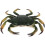 Realistic Plastic Crab Model For Educational Use 2