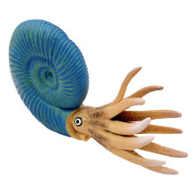 Simulated Sea Animal Model Vivid Nautilus Creature Tabletop Decor