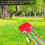 Creative Kit Senza A Forma Polpo Kite Rosso 6