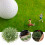 50 Pezzi Micro Paesaggio Grappoli Decorazione 11