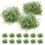 50 Pezzi Micro Paesaggio Grappoli Decorazione 3