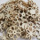 150 Pezzi Scaglie Legno A Forma Per Arte 8