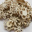 150 Pezzi Scaglie Legno A Forma Per Arte 9