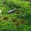 Simulated Grass Cluster Miniatura Grama Estática Artificial 3