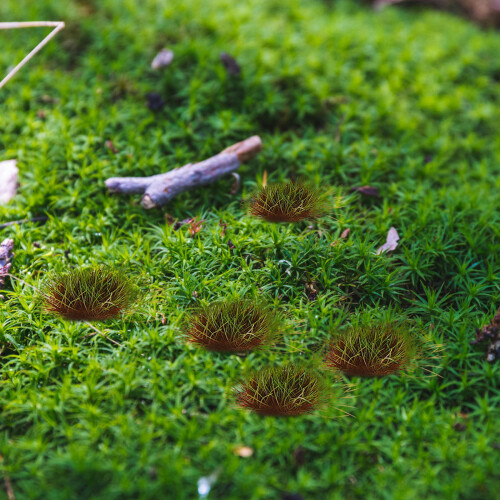 Simulated Grass Cluster Miniatura Grama Estática Artificial 2