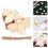 100 Pezzi Intagli In Legno Non Finiti A Forma Api Per Decorazione 8