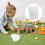 1 Fine Sand Zen Garden Manual White 5
