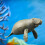 Simulação De -Boi Brinquedo Plástico Oceânico 11