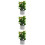 3Pcs Miniatura De Para Casa De , Bonsai Miniatura 10
